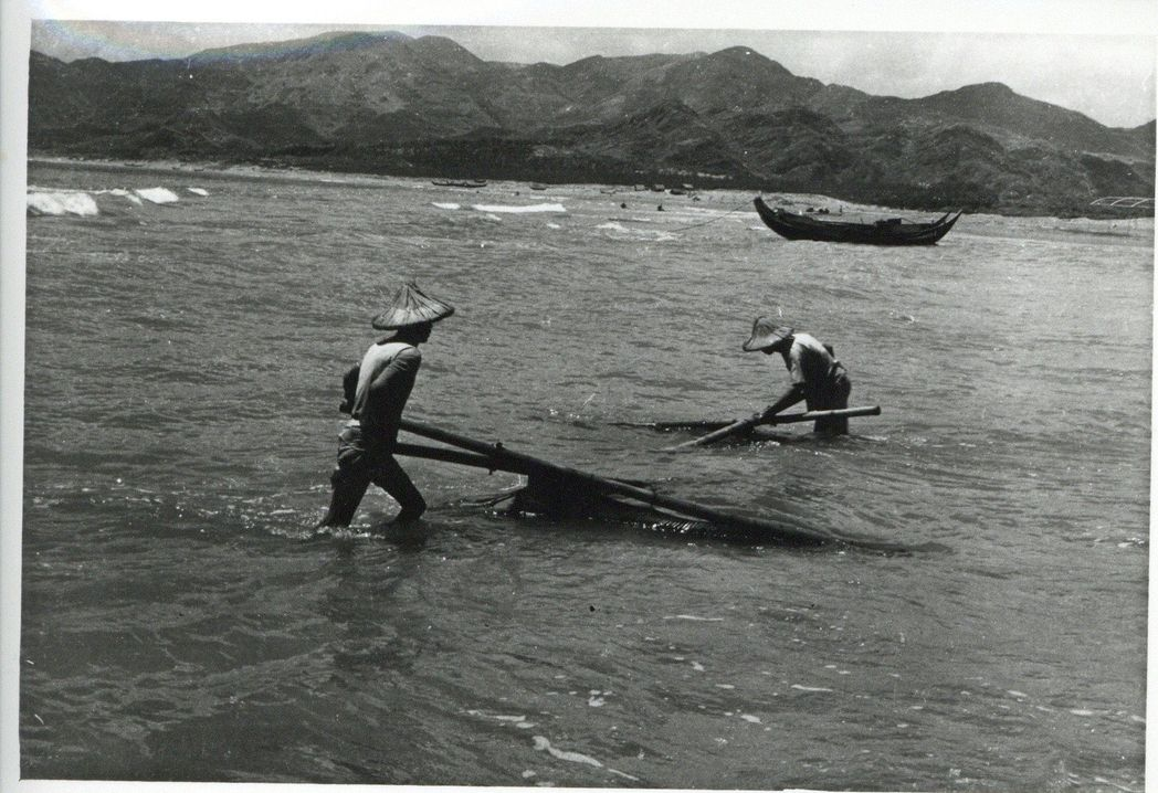 圖1：櫓魚栽 / 黃則修攝影