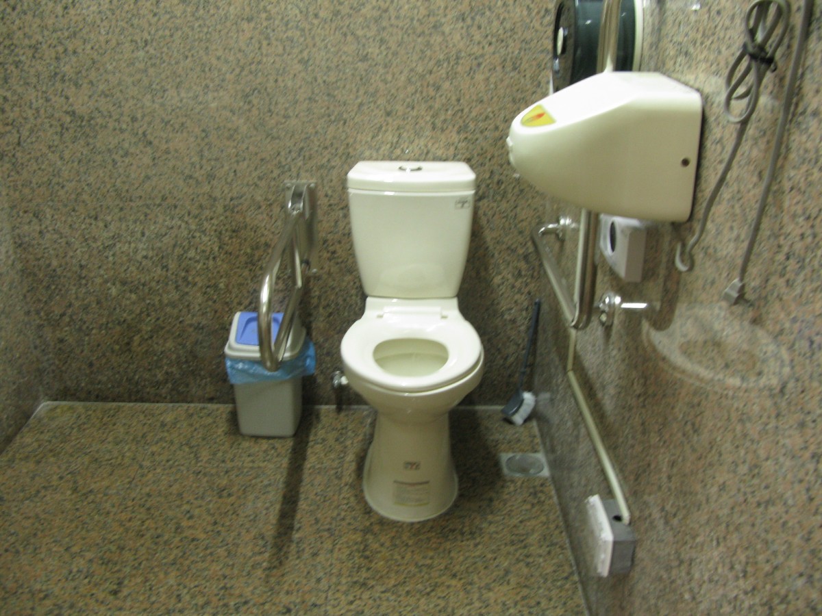 文物大樓無障礙廁所(馬桶扶手).jpg