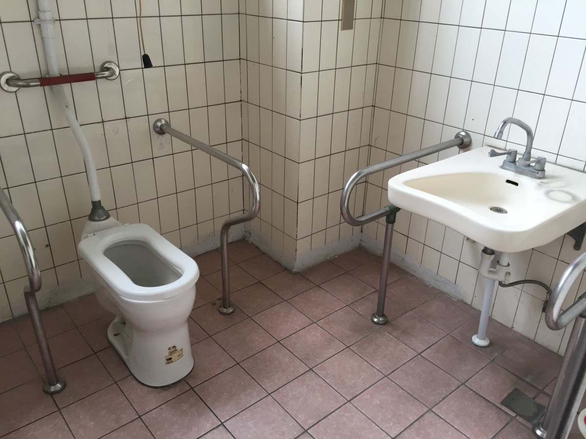 文獻大樓無障礙廁所(馬桶與洗臉臺扶手).jpg
