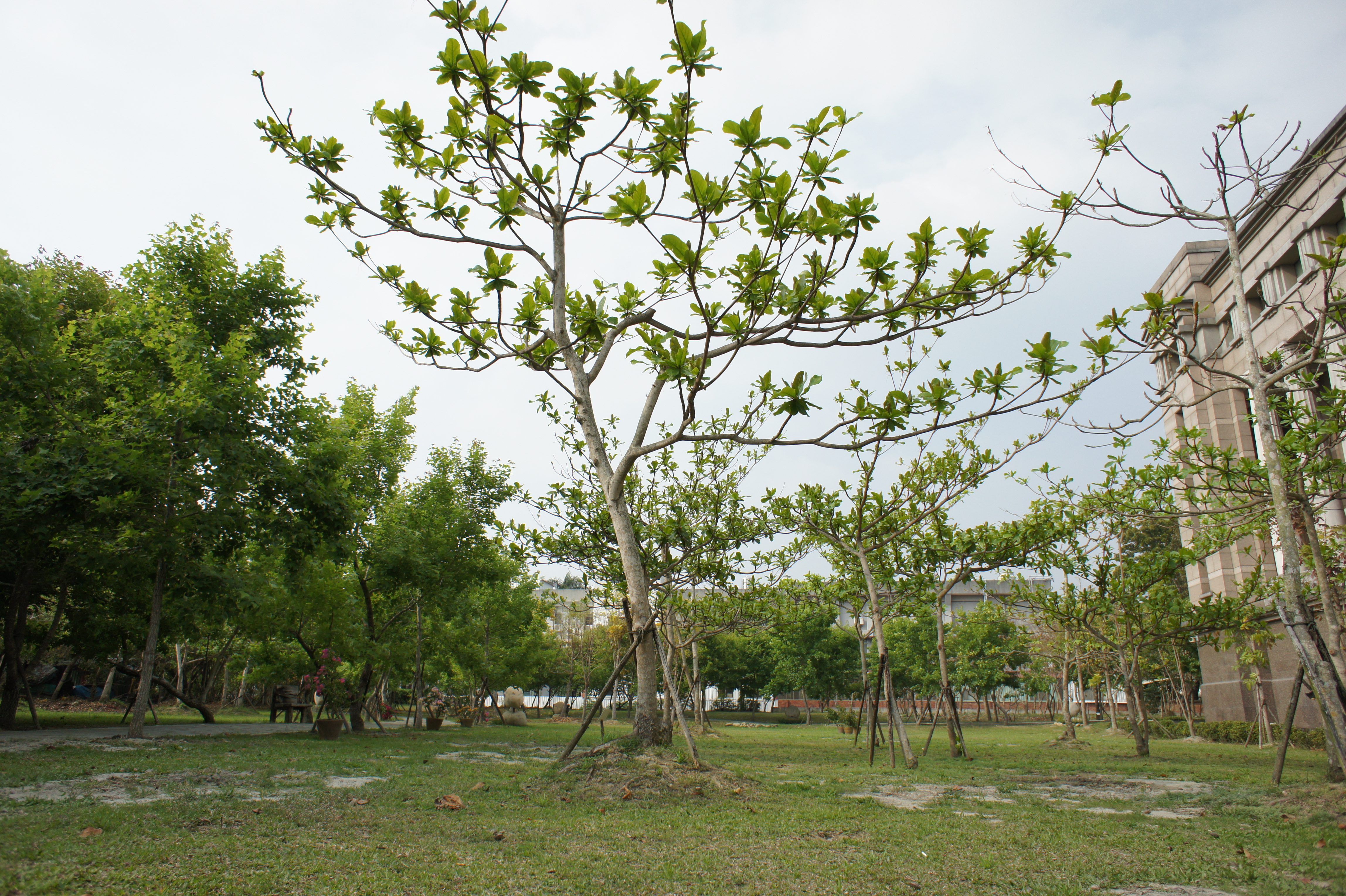 「臺灣文獻步道」之一景