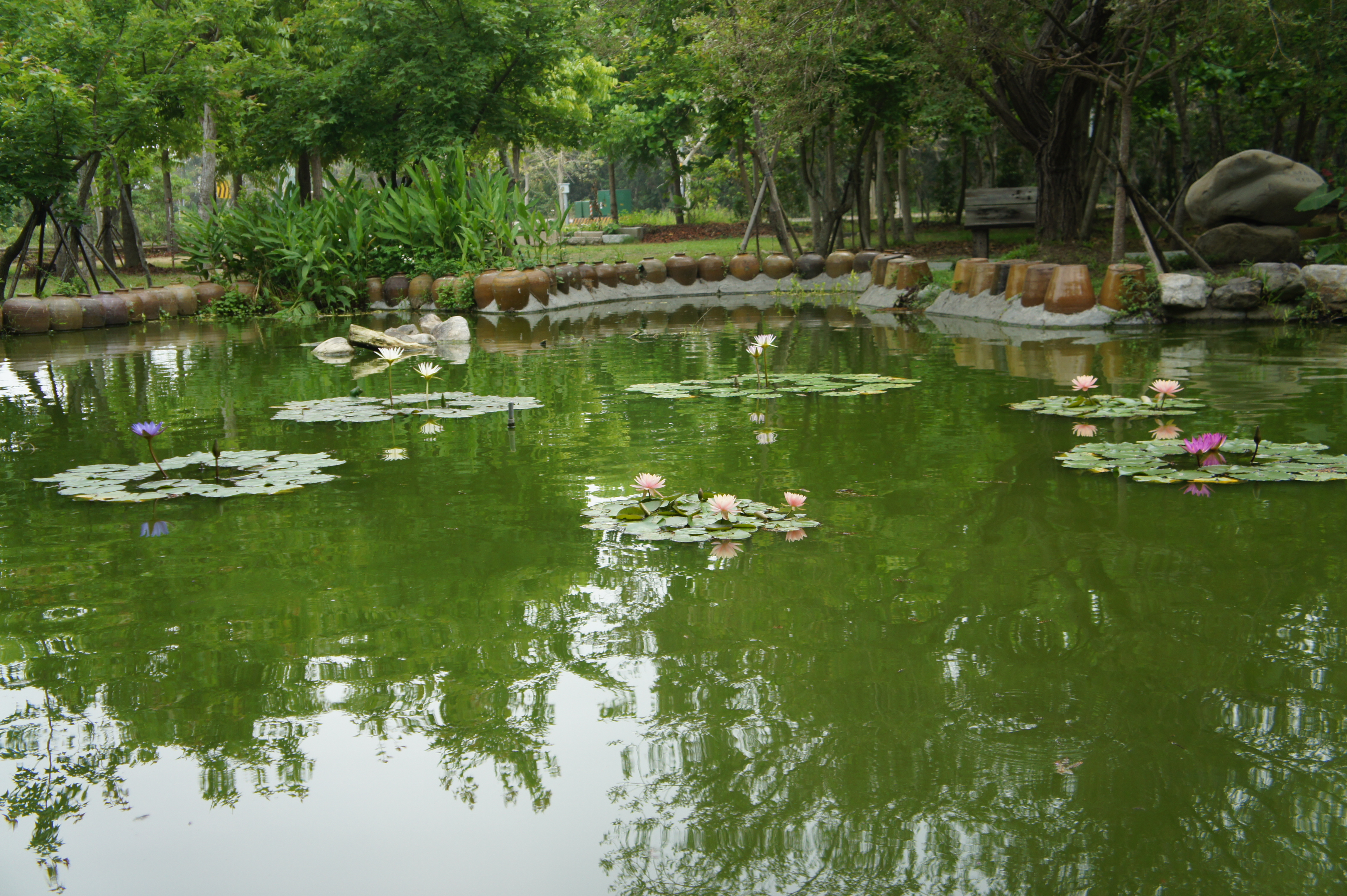 「臺灣文獻步道」之一景