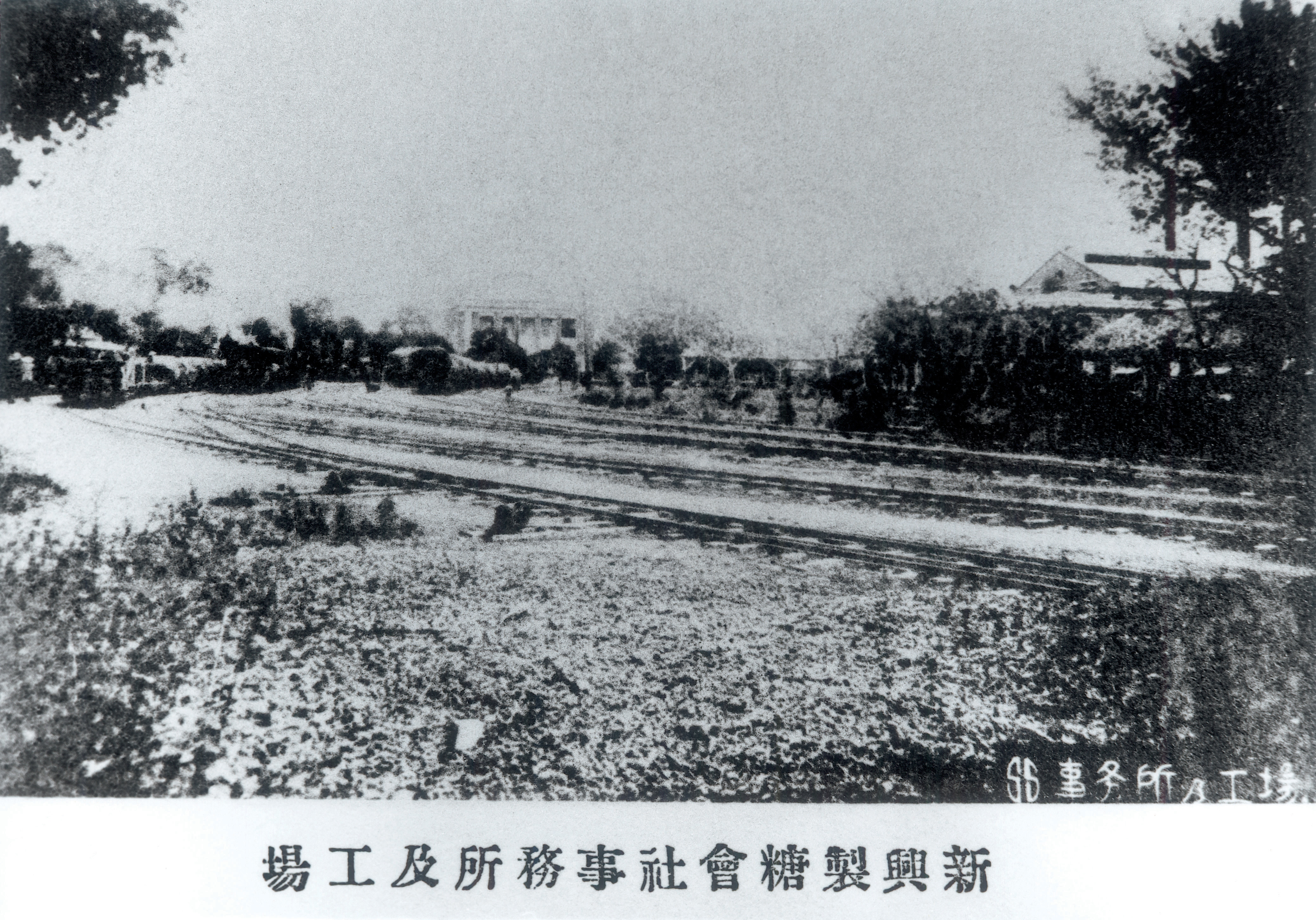 新與製糖會社事務所及工場