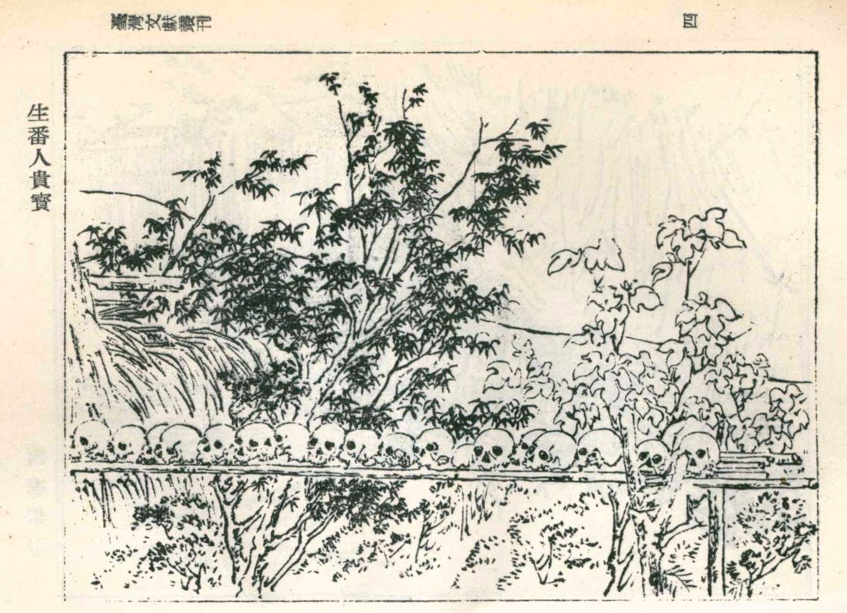 《臺風雜記》圖片