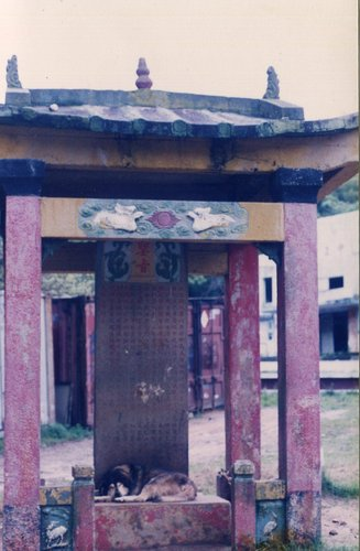 御賜神道碑舊貌