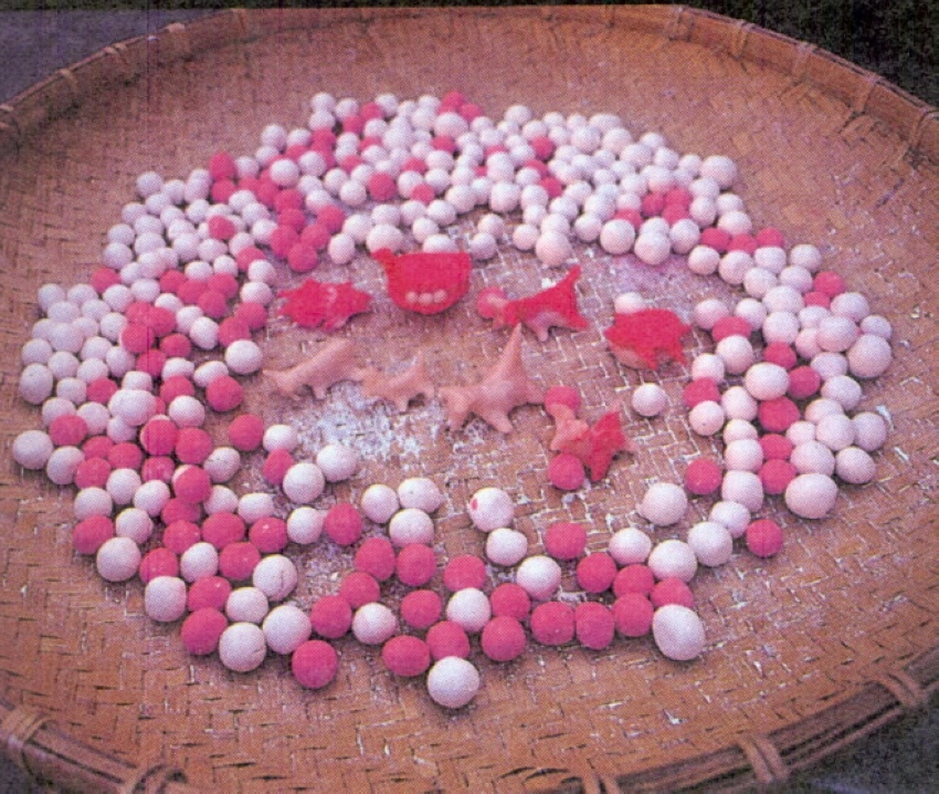 冬節圓與雞母狗仔