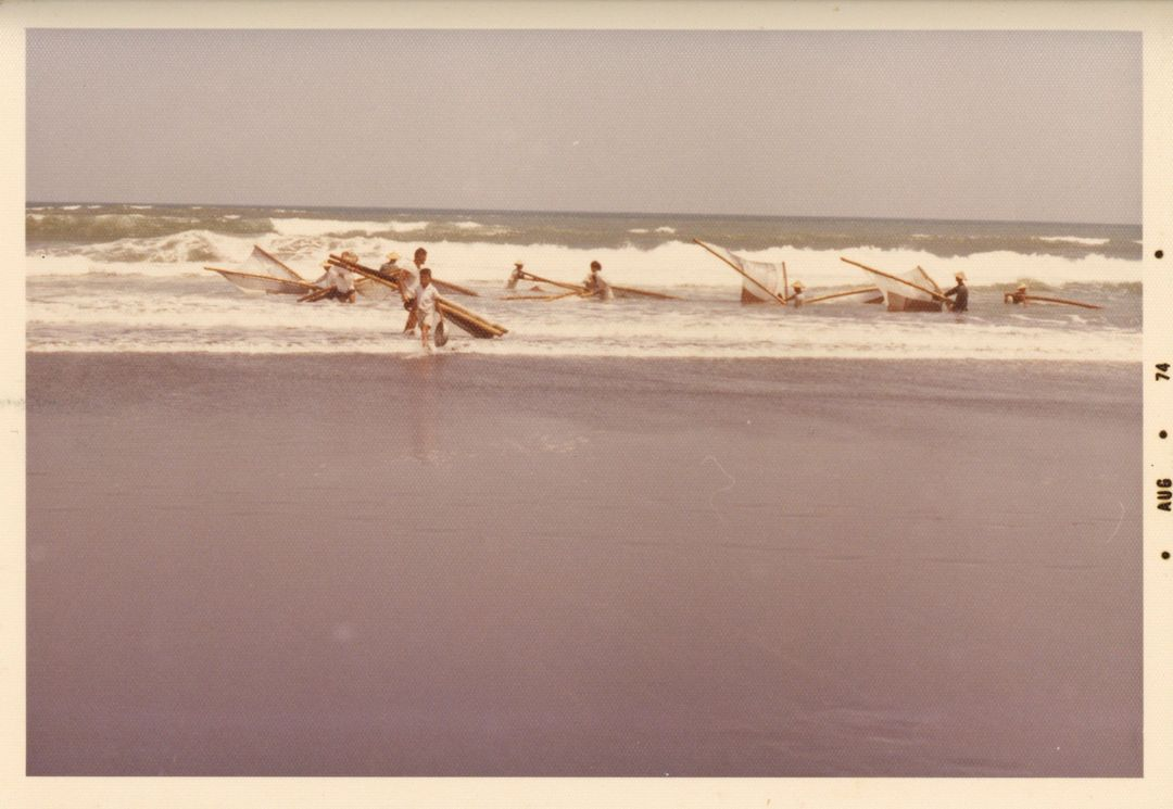 圖3：櫓魚栽 / 黃則修攝影