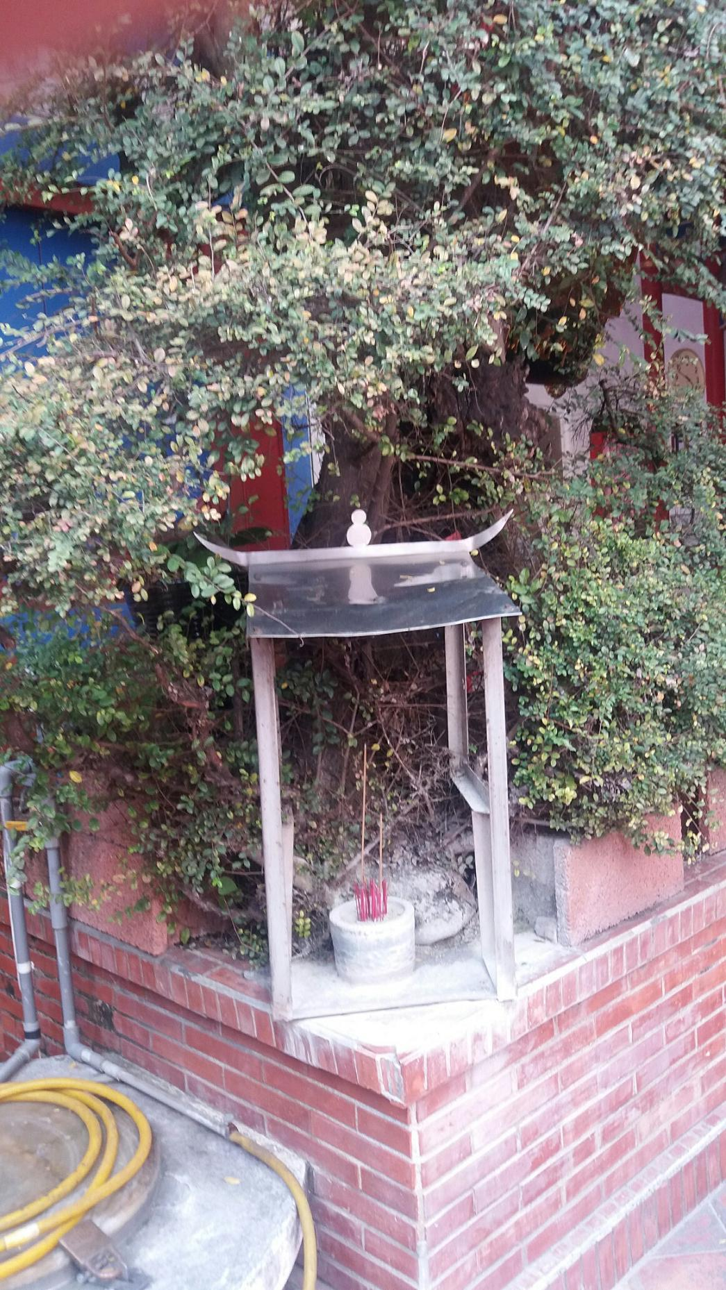 圖2：金門館內的樹神廟