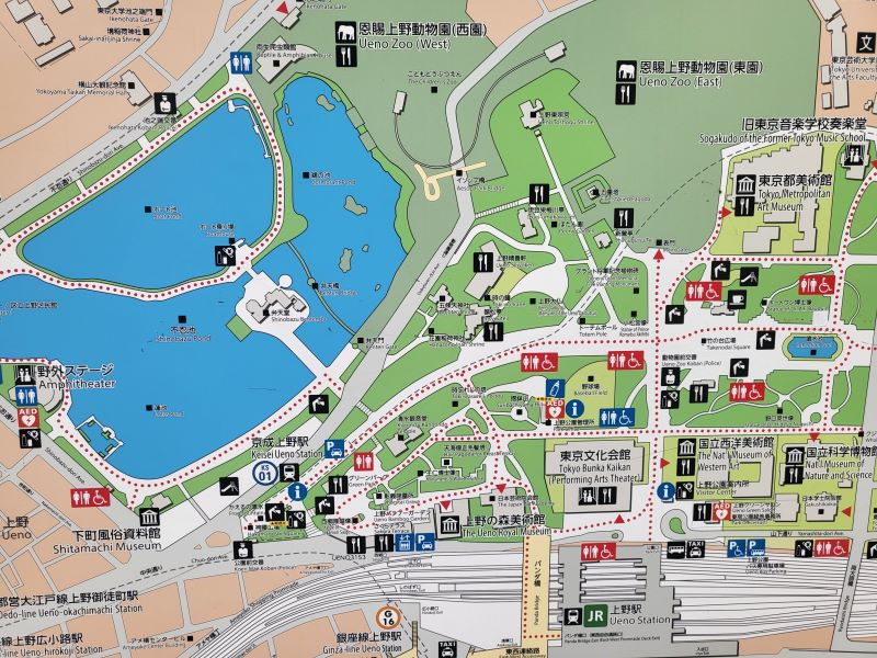 圖13：上野公園導覽圖－不忍池（整理組辦事員陳佩姍拍攝提供）。