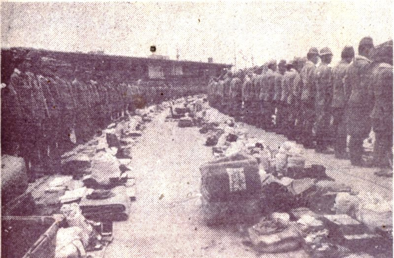 圖七(日俘排列受檢之情形)