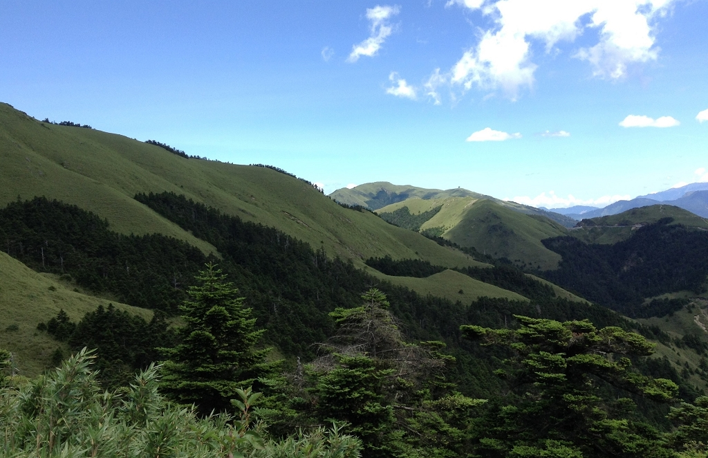 圖3：合歡山山景（本文作者攝）