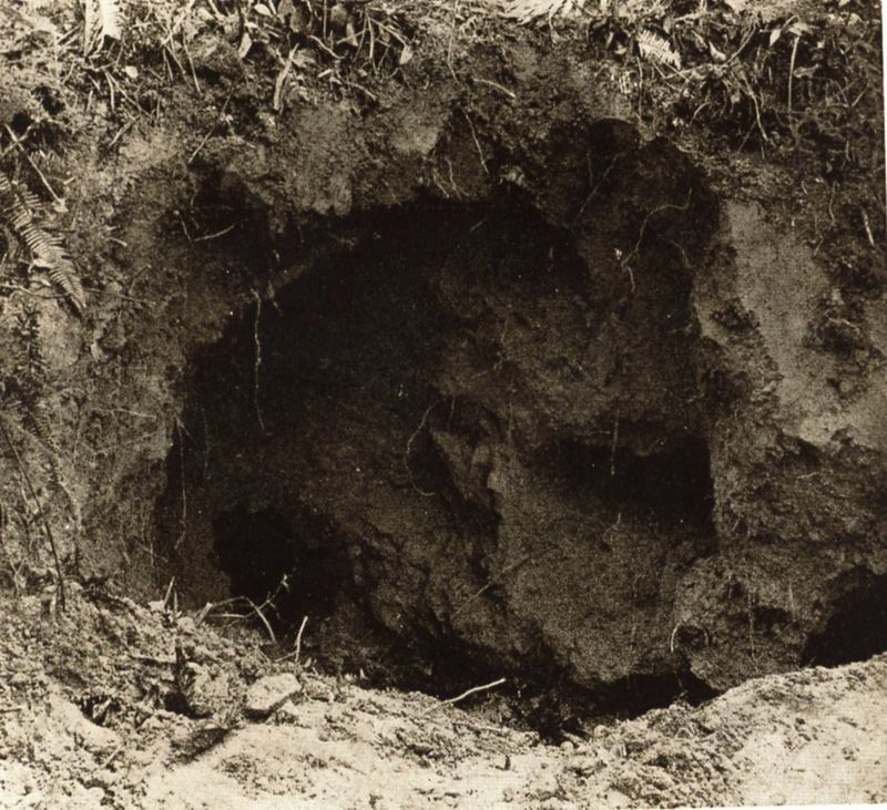 圖四　於臺北州文山郡深坑庄象頭埔發現的穿山甲洞穴