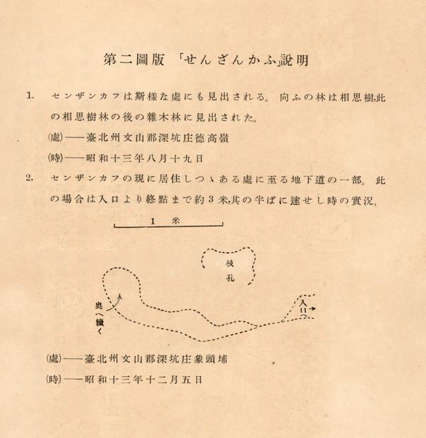 圖六　穿山甲的模擬洞穴圖