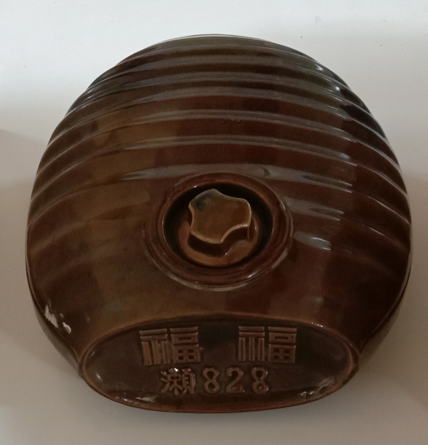 圖2：水龜（本館館藏，登錄號：19980012278）