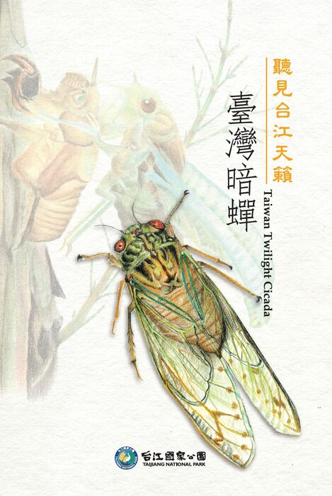 圖1：聽見台江天籟：臺灣暗蟬