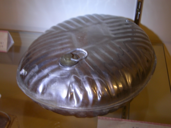 圖1：水龜（摘自《臺灣民俗文物辭彙類編》，辭條編號0360）