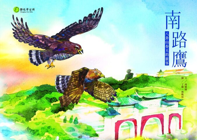 圖21：南路鷹：八卦山春天的旅客