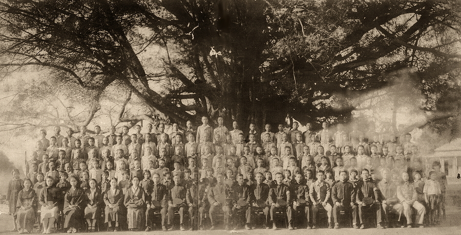 圖3：高雄縣橋頭仕隆國小校園老榕樹