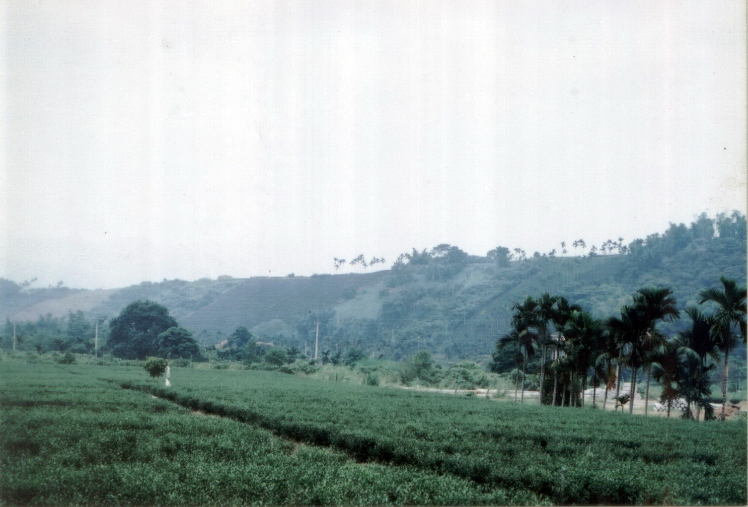 坪頂埔眺望照鏡山